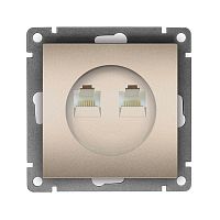 Розетка компьютерная 2-м СП Афина RJ45 кат.5E механизм шампань Universal A1086-Br