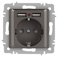 Розетка Accent 6-410-09 P+E Schuko со шторками 16А-250В + 2хUSB IP20 СУ титан Intro Б0063711