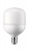 Лампа светодиодная высокомощная TForce Core HB 30Вт E27 4000лм 865 PHILIPS 929002406508