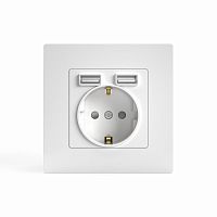 Розетка 1-м СП Pixel с заземл. с 2-мя заряд. устр. USB тип A+A IP20 механизм бел. TOKOV ELECTRIC TKE-PX-R1U2A-C01